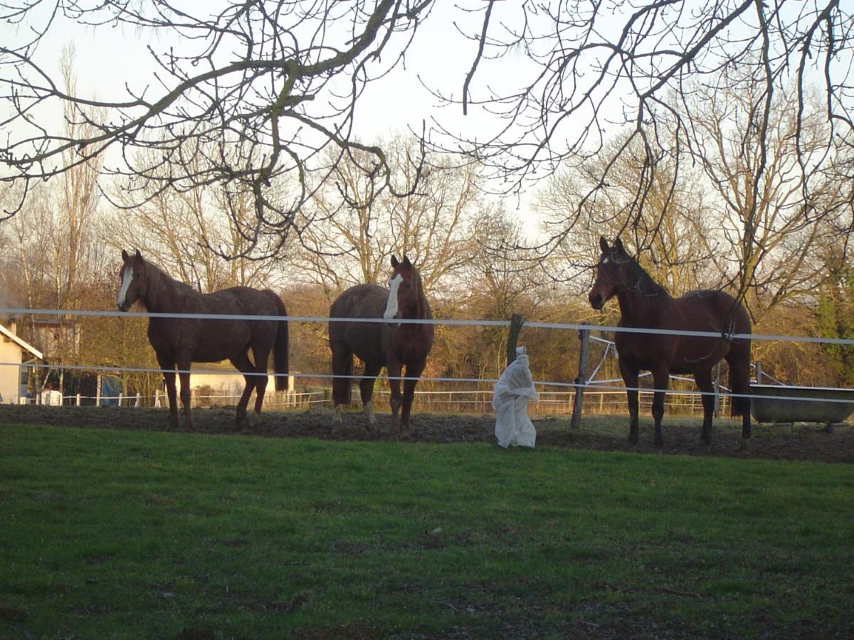 Ferme Passion Bed & Breakfast Saint-Trivier-sur-Moignans Bagian luar foto