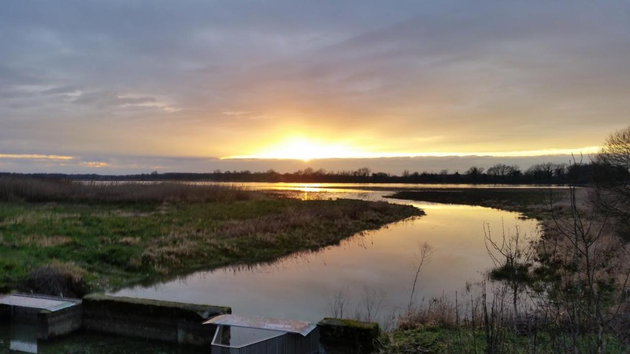 Ferme Passion Bed & Breakfast Saint-Trivier-sur-Moignans Bagian luar foto