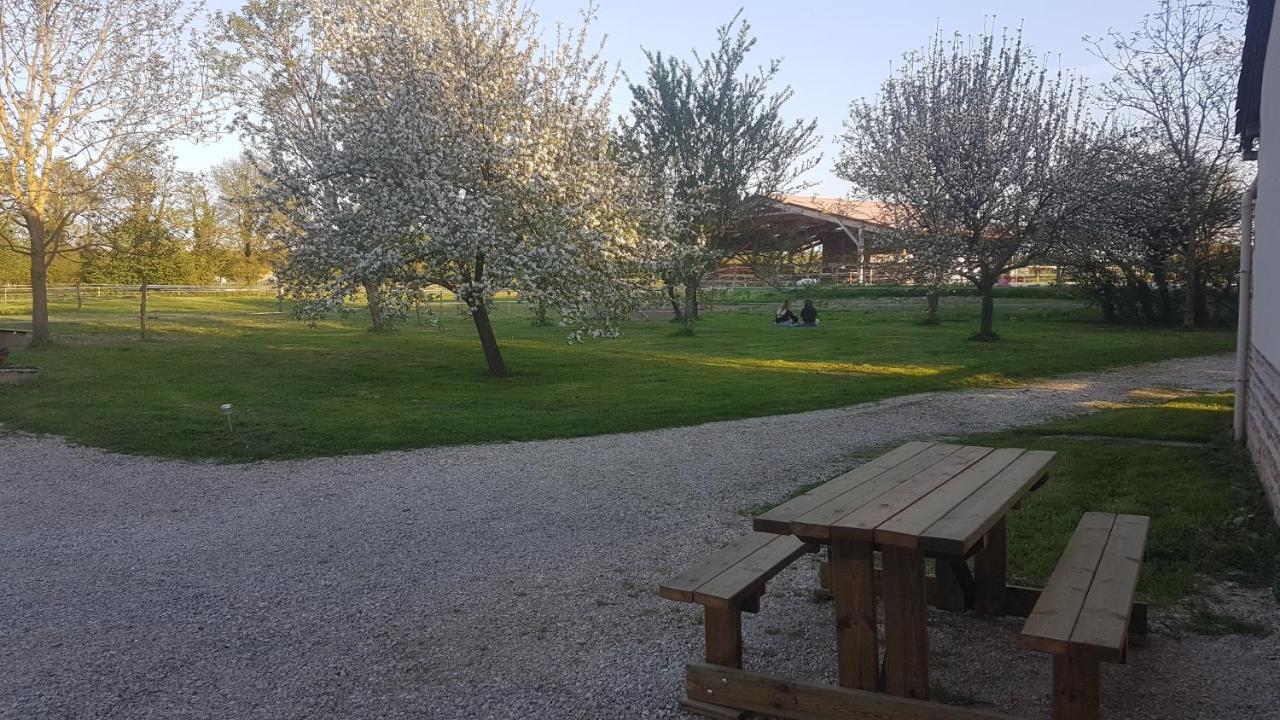 Ferme Passion Bed & Breakfast Saint-Trivier-sur-Moignans Bagian luar foto
